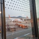 지코바 삼문점 | 부산 먹부림로드 후기 ft.홀로비행✈️
