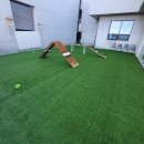 견상낙원 이미지