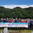 충혼묘지 이미지