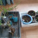 하신농장 이미지