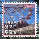 그라시엘어린이집 | [14개월 아기와 삿포로 한달살기] 4~6일차 : 나카지마 공원, 대관람차, 다이마루 백화점, 스페인어 수업...