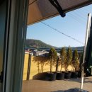 까사구스토 이미지