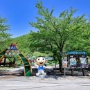 삼척미로정원 이미지