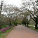 국수이야기 이미지