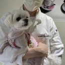 교촌치킨 화정2호점 이미지