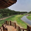 평해사구습지 이미지