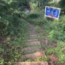 나무와 숲 어린이집 | 흙 묻은 손이 더 예뻤던 날🍂 숲 어린이집 숲체험 도우미 후기🌳