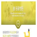 김기혁동물병원 네이버블로그