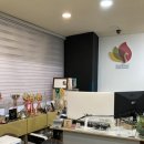 서울에스테틱