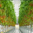 익산 농장 이미지