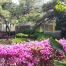 그린비브레인어린이집 이미지