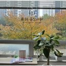 아름다운:연헤어 네이버블로그
