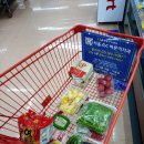 세르니띠 이미지