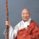 산처럼 무거운 모든 일을 쉼이라./대원큰스님 이미지