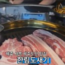 한림도새기