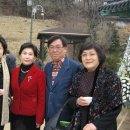 유연선「동백꽃」 이미지