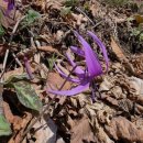 광덕1로7 이미지