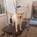 예뻐지개 이미지