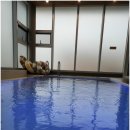 에이지하우스 키즈 이미지