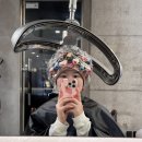 동탄지웰에스테이트 | 동탄 북광장 미용실 이아니엘헤어 단발펌 방문 후기(구 아우라제이 동탄반송점) / 동탄 미용실 추천