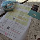 호텔롯데 롯데호텔월드 | 잠실호텔추천, 롯데호텔월드, 클럽 라운지 후기♡ (레지던스 룸)