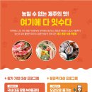 잇제주 이미지