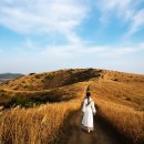 다이어트 건강요리(야간) 이미지