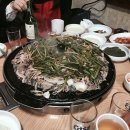 감골오리 이미지