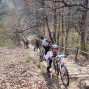 엄사약국 이미지