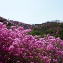 고려산 이미지