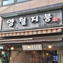 양철지붕 | [강남/신사역] 가로수길 핫플 술집 '양철지붕 본점' 재방문 후기!