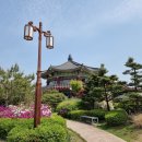 목동천길 Daum카페