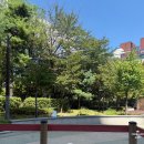 김일진의연세치과의원 | 9/1-9/7 신혼부부 주간밥상