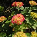 모스가든 이미지