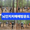 실버인지지도사 이미지