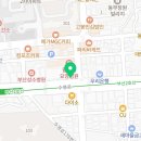 츄츄독 푸들이야기 부산 강아지분양 이미지