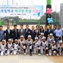 당진야구장 이미지