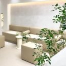 다미의원 이미지