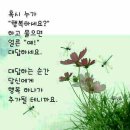 단비의 태국여행기~ 이미지