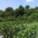 이전농장 이미지