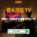 중소기업 TV 브랜드, 유맥스 스마트라 트루비 모넥스 TV 정리.