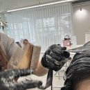 굳뜨헤어 이미지