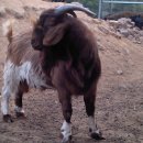 태봉농장 이미지