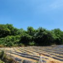 송곡1리경로당 이미지