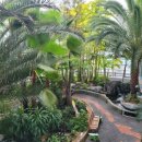 원두천 2 이미지