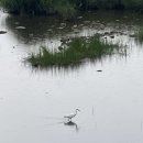 여울펜션 이미지