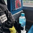 햄토리 군단 | 야레 야레 못말리는 아가씨(위시 보고 왔다는 뜻)