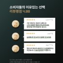 그린 | 가성비 썬팅 필름 더 스미스 미러 그린 후기