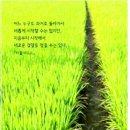 탑잉글리쉬학원 - 서초구 동산로 71 | 탑잉글리쉬학원