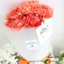 플라로마 | 어버이날 센스터지는 카네이션 생화 꽃다발 Best 모음!!
